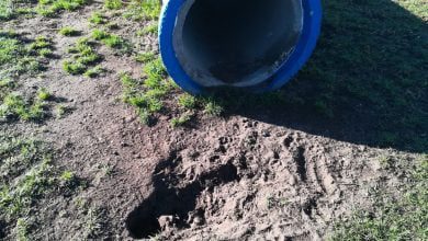 parque canino IMG 20211107 092220 1