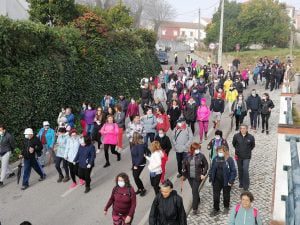 olalhas caminhada IMG 20220213 094317