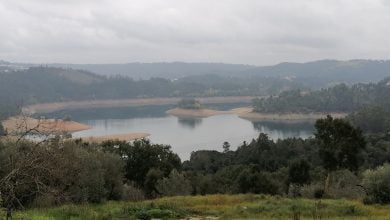 olalhas caminhada castelo bode IMG 20220213 113427
