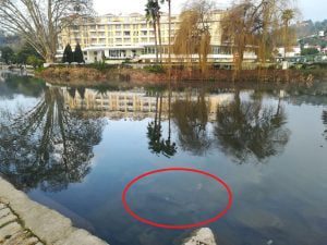 trotinete rio nabao IMG 20220216 080105