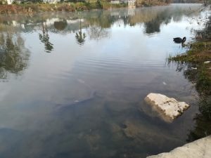 trotinete rio nabao IMG 20220216 080116