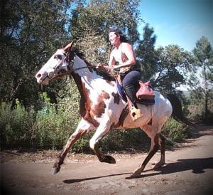 cavalo 50088468321 7947026528469196276 n 1