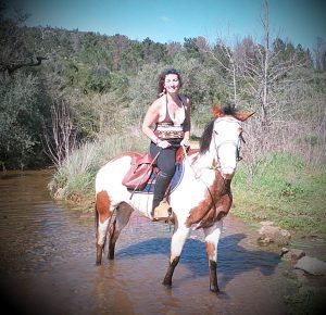 cavalo 7086901 8296483170238198078 n 1