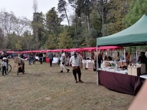 feira wellness Mata IMG 20220326 155056