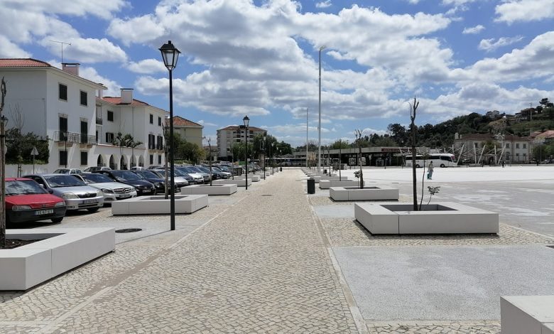 Para quando a plantação de novas árvores na Várzea Grande? jacarandas IMG 20220419 133131
