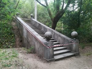 damsel mata IMG 20220521 093017