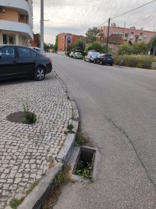 sarjeta 211553492 1860410556308937227 n
