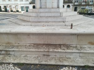 suj IMG 20220514 075950