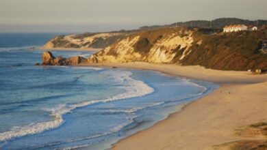 praia imgLoader