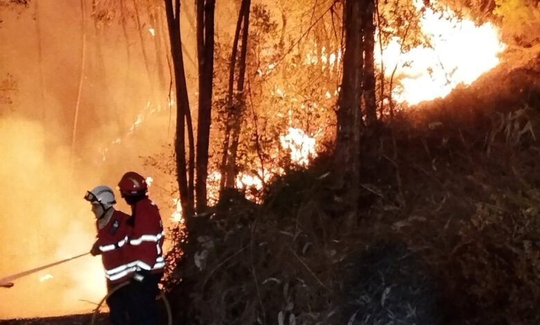 Incêndios em Tramagal e Figueiró dos Vinhos mobilizam mais de 450 bombeiros incend 171610195 4034772691910034647 n