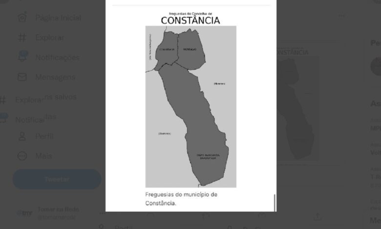 constancia falo