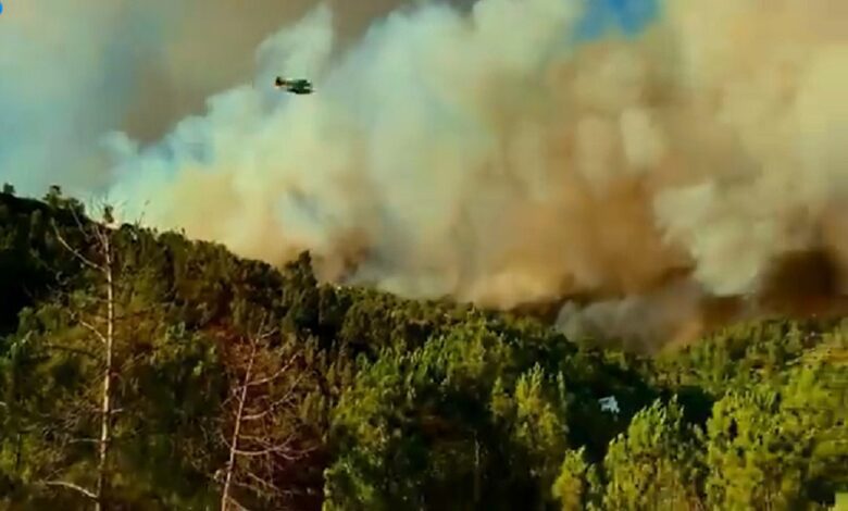 Fogo na freguesia de Olalhas dado como extinto (c/ fotos e vídeos) inc 7890