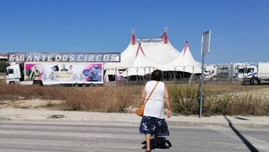 circo IMG 20220922 145732