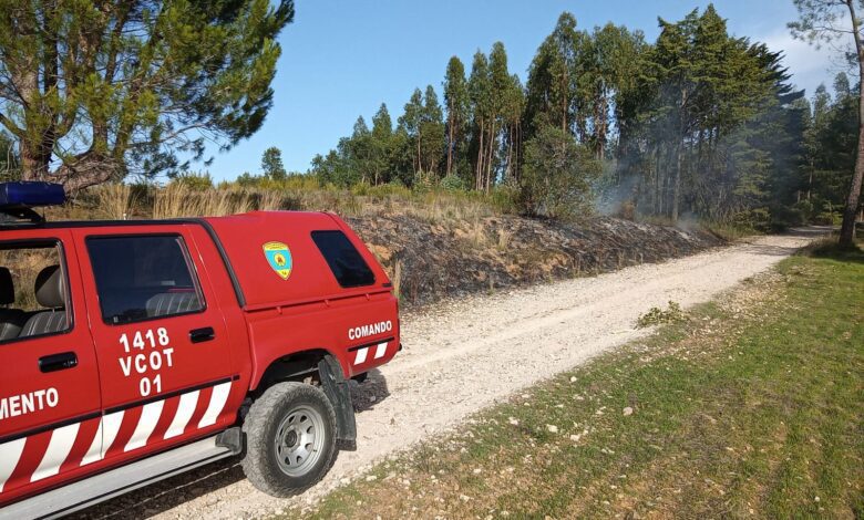 Homem que ateou fogos junto ao Parque do Bonito começou a ser julgado incendio 795804 1792528130701196288 n