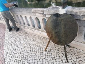 pesca IMG 20221030 171613