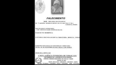 317722506 650104386902153 4133229847079075162 n Copia 2