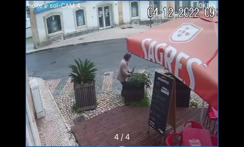 Mulher filmada a roubar planta de esplanada (c/ vídeo) planta vaso