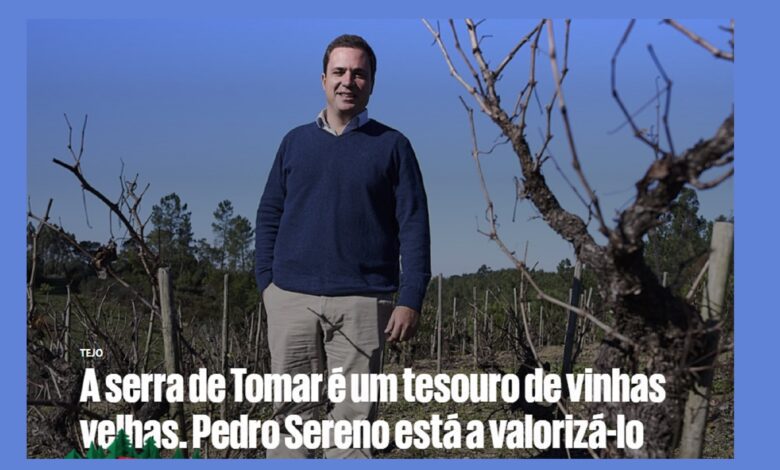 Jornal Público destaca produtor de vinho de Tomar sereno