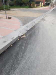 estrada da serra 521894066 1222021526336697351 n