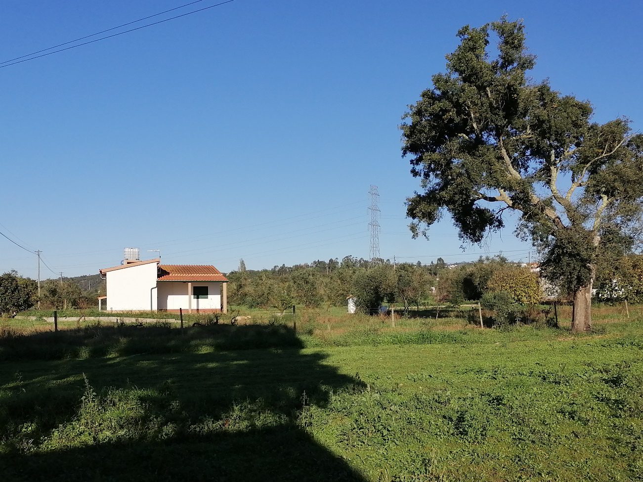 Câmara compra casa ilegal para realojar família de etnia cigana cardelas ciganos IMG 20221202 151202