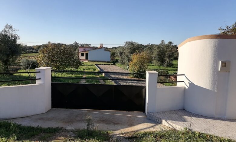 Câmara compra casa ilegal para realojar família de etnia cigana cardelas ciganos IMG 20221202 151427