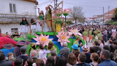 linhaceira carnaval IMG 20230219 163027