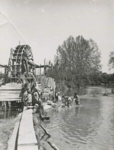 rio nabao lavadeiras 9403629568 n