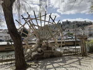 roda mouchao IMG 20230314 134431