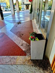 vandalismo 807314905 4163512594590351165 n