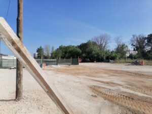 flecheiro IMG 20230420 093744