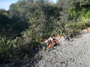 lixo IMG 20230402 090923