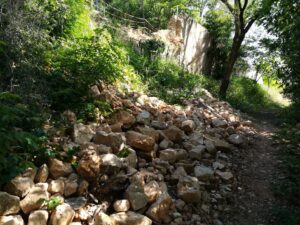 mata IMG 20230507 094341