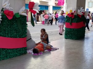 apanhados IMG 20230708 164202