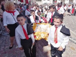 apanhados tabuleiros IMG 20230702 105749