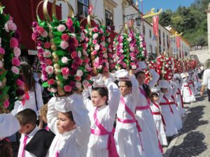 cortejo rapazes tabuleiros IMG 20230702 104759