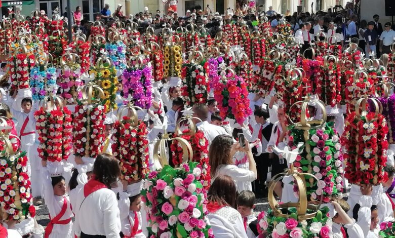 Mais fotos e vídeos do Cortejo dos Rapazes cortejo rapazes tabuleiros IMG 20230702 112241