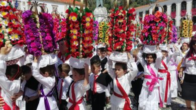 cortejo rapazes tabuleiros IMG 20230702 113059