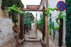 ruas ornamentadas 2023 IMG ruas ornamentadas 2023 20230706 WA0000