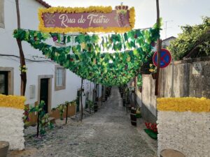 ruas ornamentadas 2023 IMG 20230706 070536