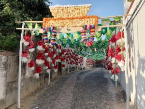 ruas ornamentadas 2023 IMG 20230706 070540