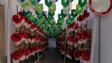ruas ornamentadas 2023 IMG 20230706 070601