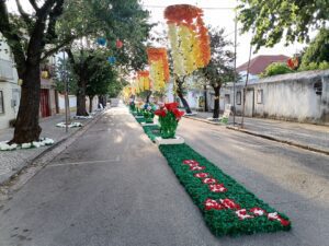 ruas ornamentadas 2023 IMG 20230706 070734
