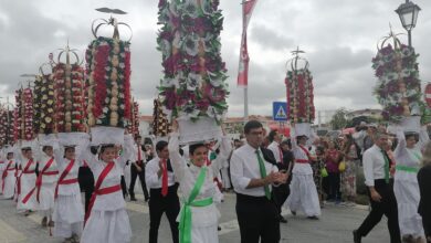 tabuleiros IMG 20230708 103244