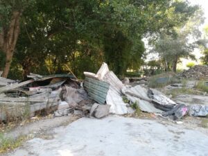 Flecheiro IMG 20230806 091745