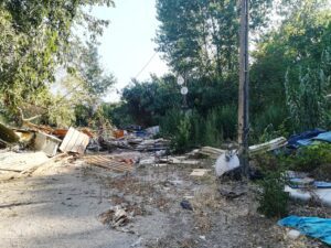 Flecheiro IMG 20230806 091755