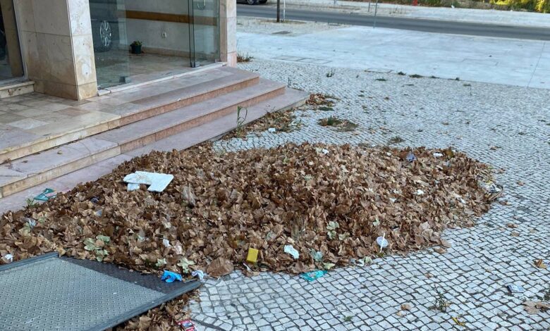 É assim há mais de um mês folhas 447881117 5675932316166119658 n