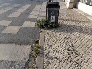ervas IMG 20231002 175715