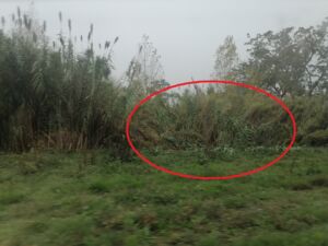 despiste IMG 20231128 101825 1