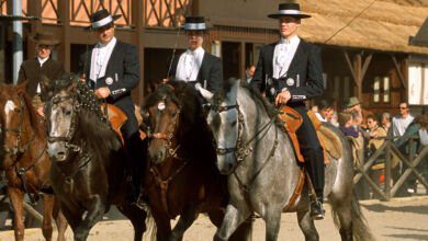 feira cavalo golega 9816110 337305305797514294 n