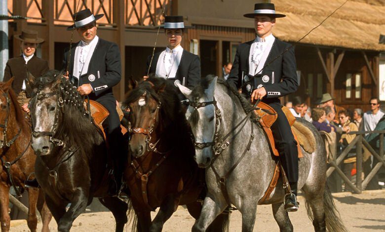 Veja a Feira Nacional do Cavalo online feira cavalo golega 9816110 337305305797514294 n